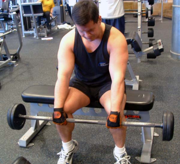 bzonepic3big.jpg