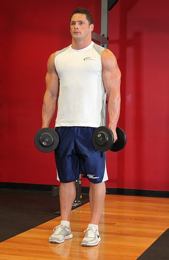 Dumbbell Shrug _1.jpg