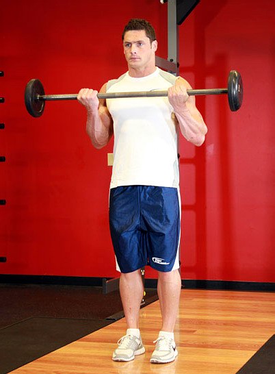 Barbell curl_2.jpg