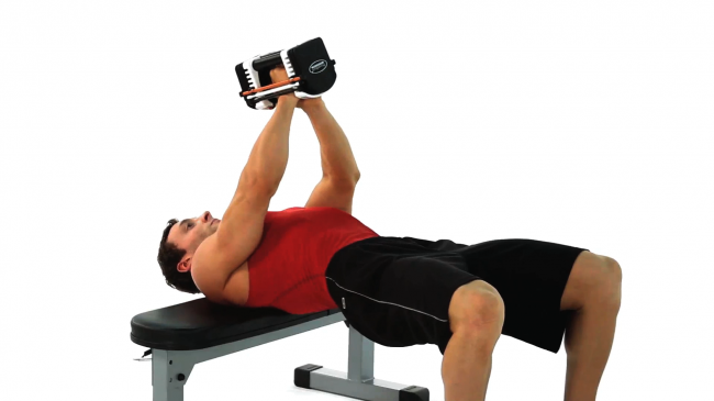 Dumbbell Pullovers.png