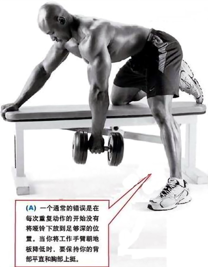 哑铃单臂划船.jpg
