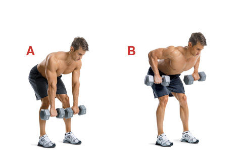 Dumbbell row.jpg