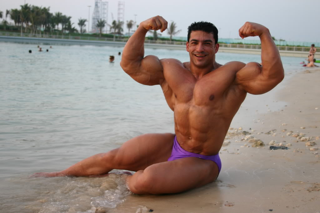 Tarek Elsetouhi.bmp
