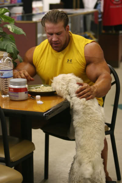 Jay Cutler.bmp