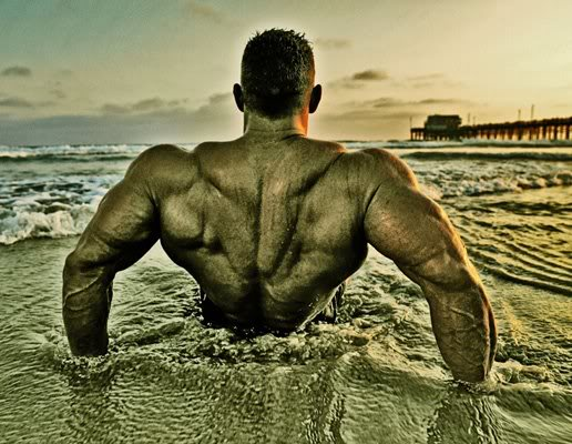 Armin Scholz.bmp