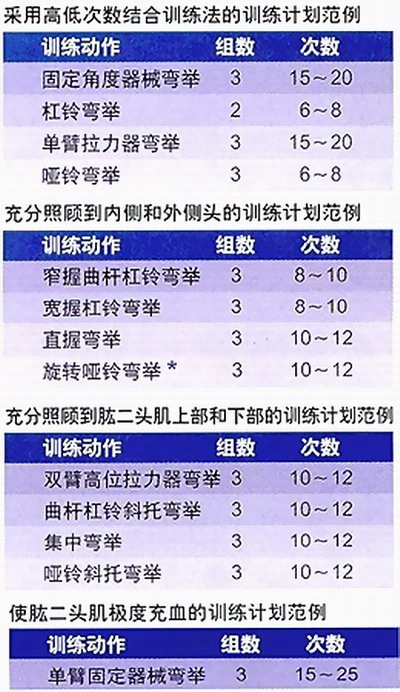 二头训练计划.jpg