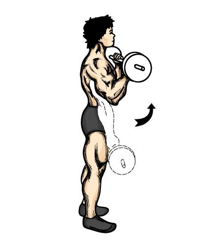 curls2.jpg