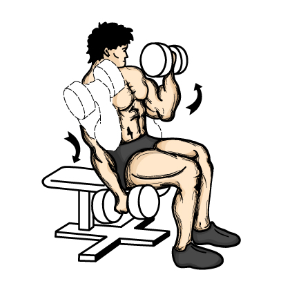 alternate_curl_2.jpg