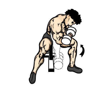 conc_curl.jpg