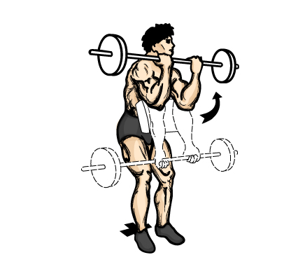 preacher_curl_fin.jpg