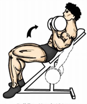 incline-dumbbell-curl.jpg