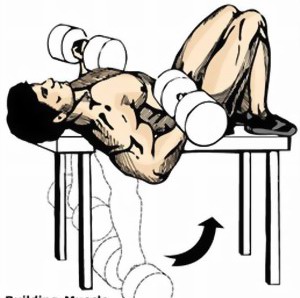 flat-bench-dumbbell-curl-1.jpg