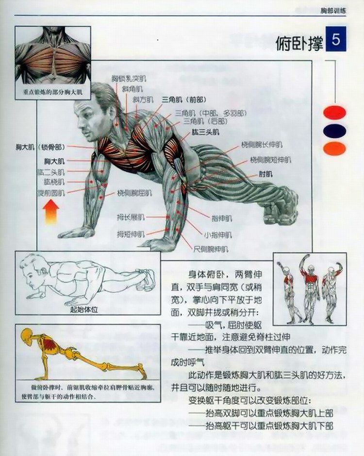 宝典.jpg