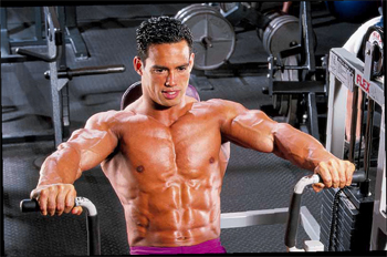 seated-press-bench-machine.jpg