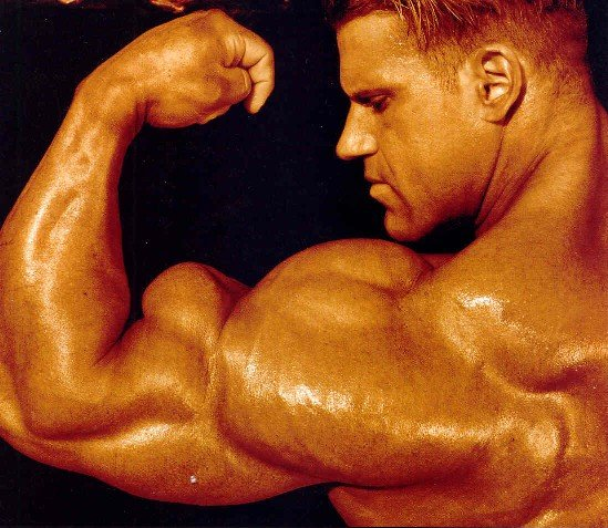 Jay Cutler.bmp