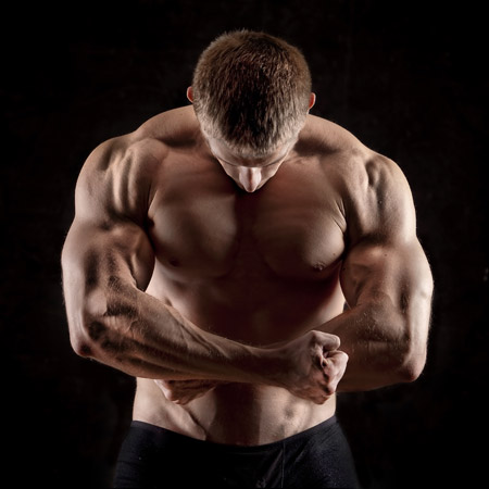 the deltoid.jpg