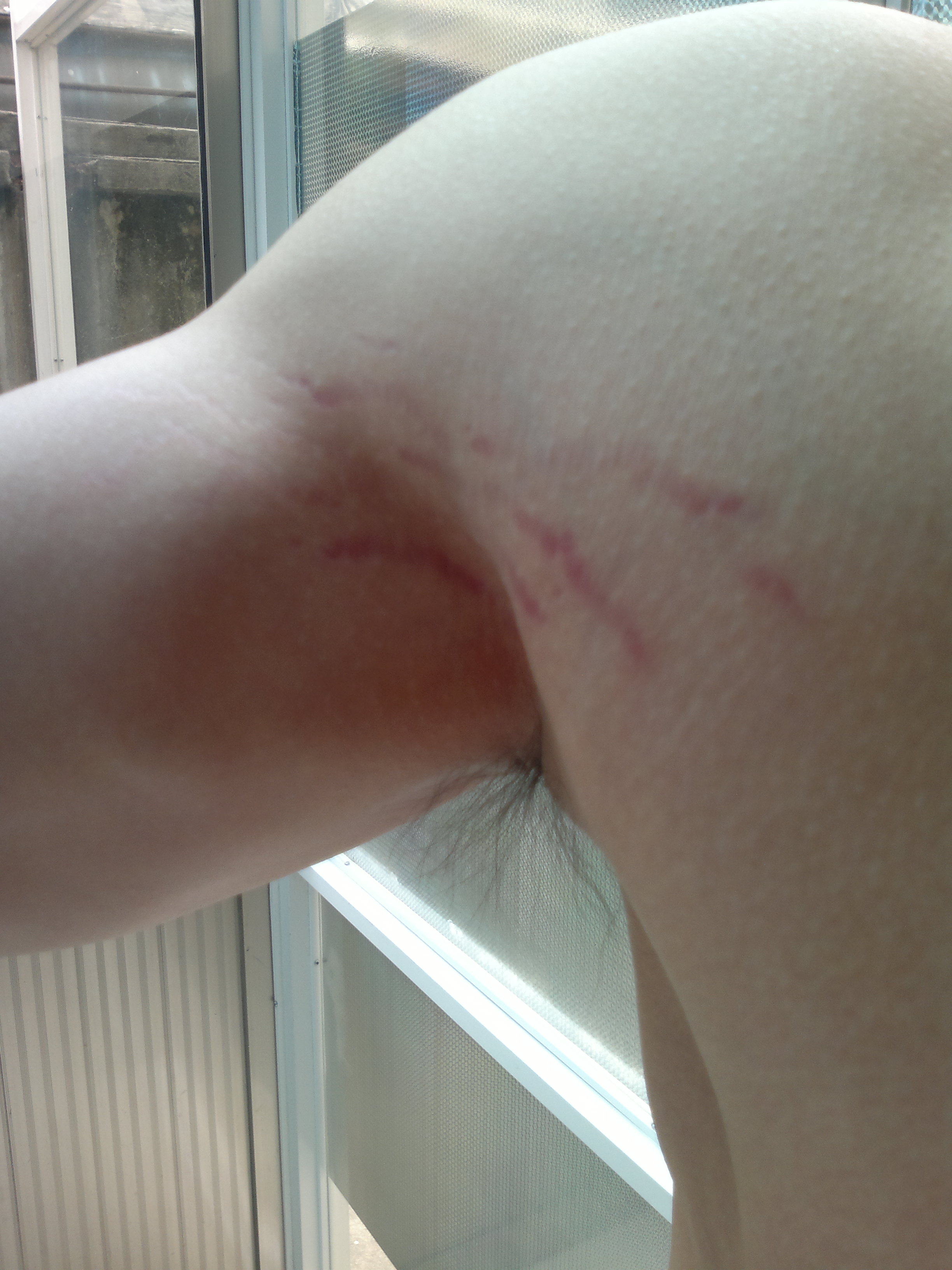 20110616982.jpg