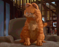 77.gif