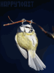 110650yckekevoqweok92y.gif
