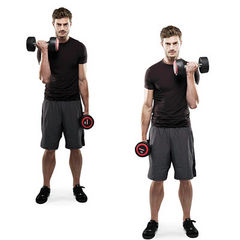 3_calvin_dumbbell_curl-4.jpg