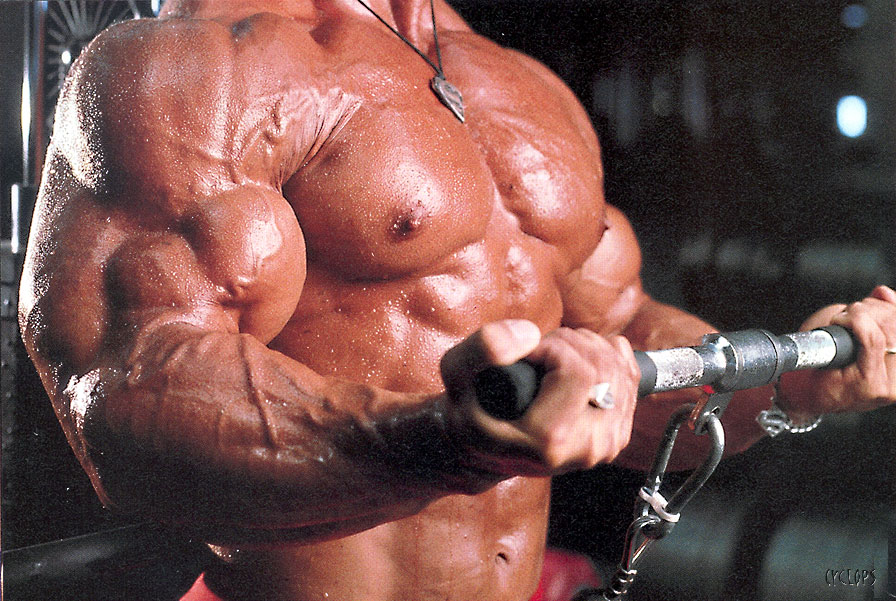 Lee Priest.jpg