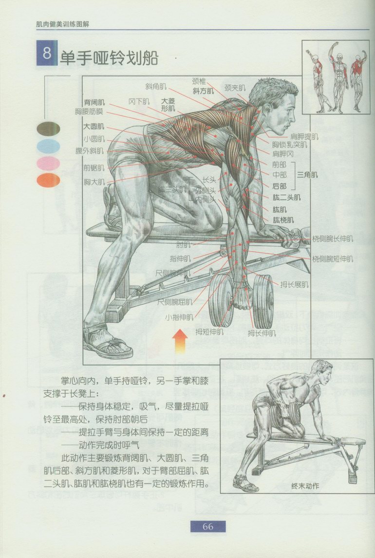 78fd8b3890f8a9ee3b87ce21.jpg