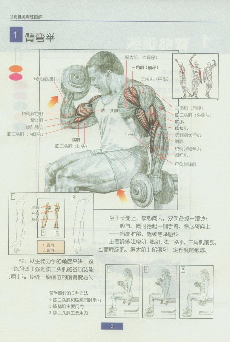 2cf7acd2a5dc82c2a8ec9a5a.jpg