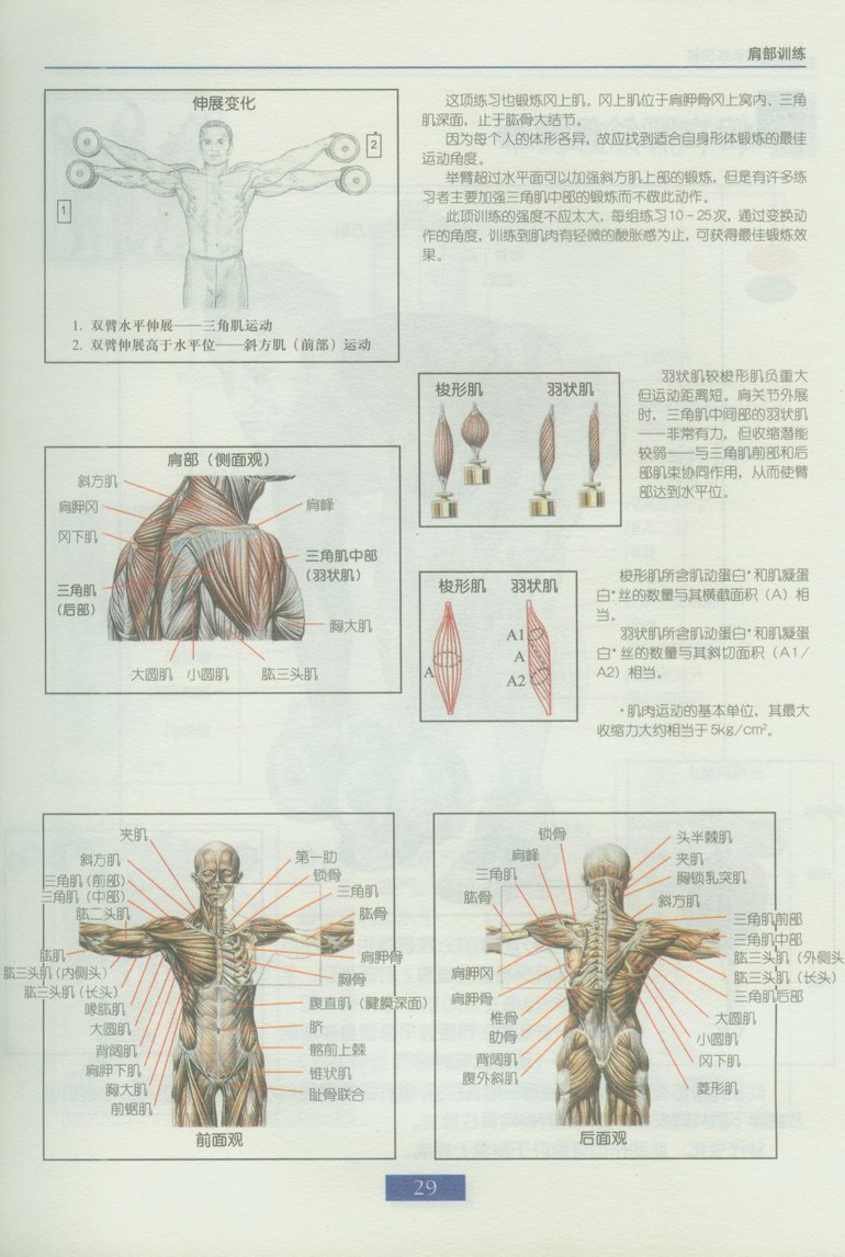 b5dcec10a3e02363cb80c424.jpg