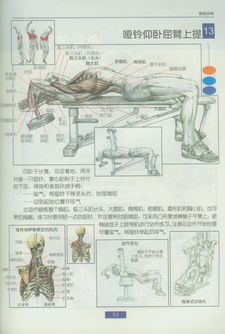 b22dcc444f7f472286947320.jpg