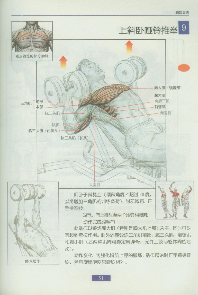 e28170dce03befc48c102920.jpg