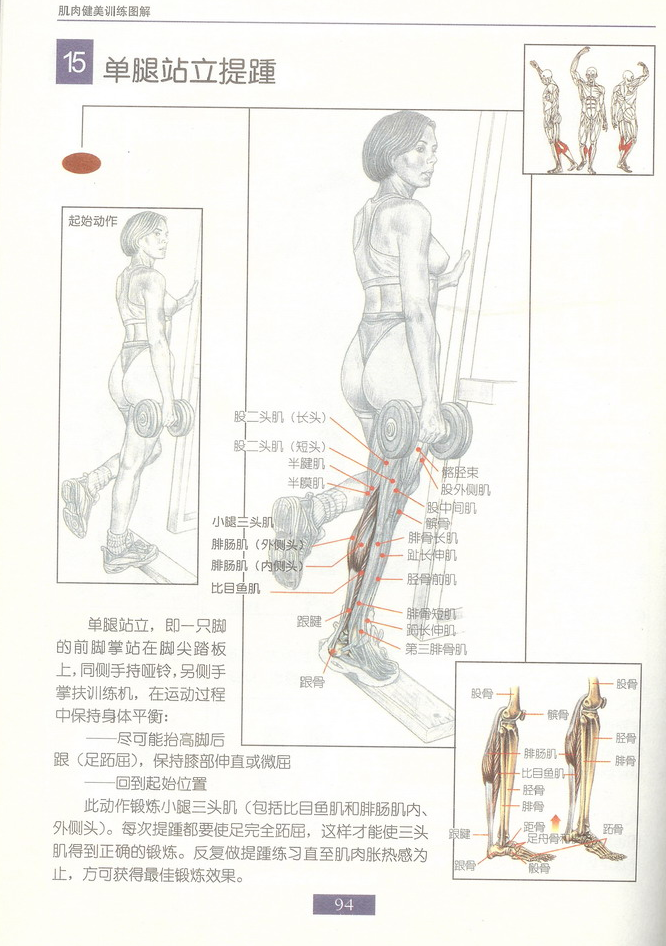 哑铃单腿站立提踵.png