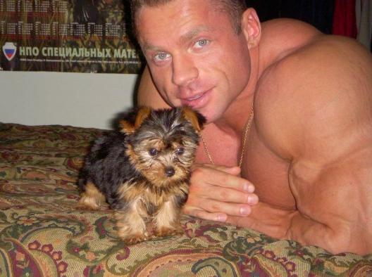 Evgeny Mishin.bmp