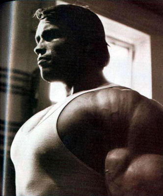 32993arnold02jpegli7.jpg
