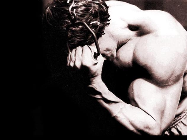 ArnoldSchwarzeneggerwallpaper82.jpg