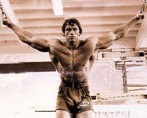 arnold-cable-flyes.jpg