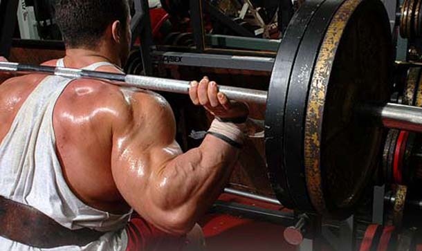 Bodybuilding-3.jpg
