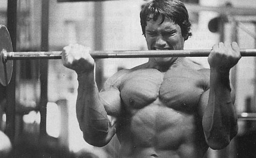 Arnold_Schwarzenegger_784.jpg