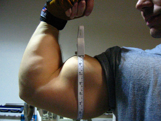 10x10_mass_arm_workout_f.jpg