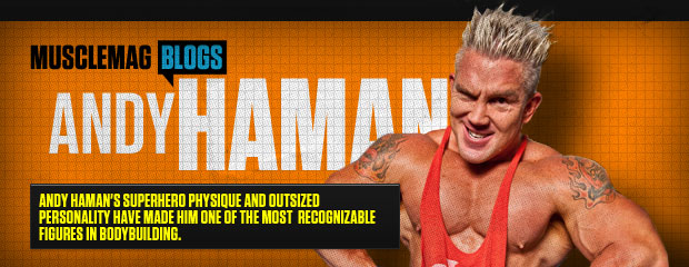 Andy Haman.jpg