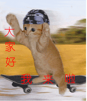 _5227160973208211402.gif