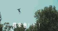 _6679685380563490.gif