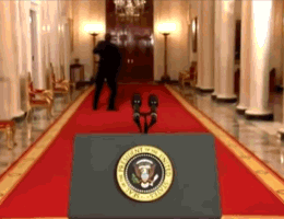 312321213546546879.gif