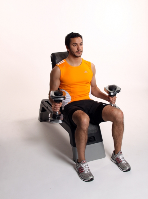 Seated Biceps.jpg
