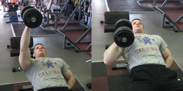 Incline-Hammer-Grip-One-Arm-DB-Bench-Press.jpg