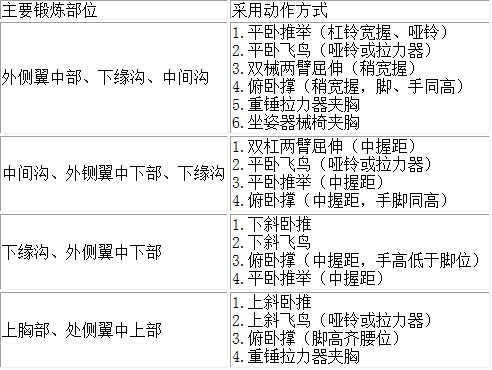 胸部四个肌群的锻炼方法.jpg