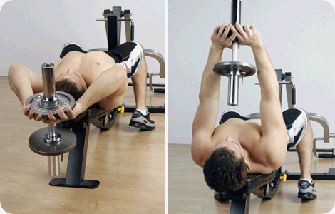 Dumbbell Pullovers.gif