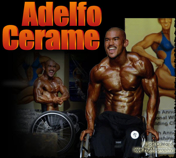 Adelfo Cerame logo 1.jpg