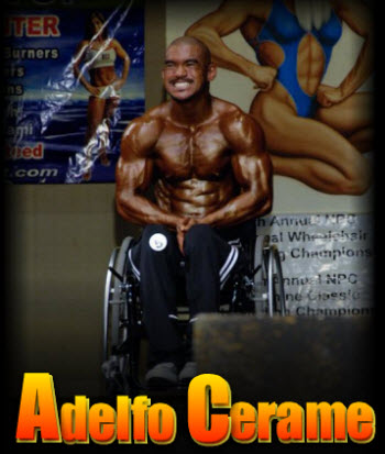 Adelfo Cerame logo 2.jpg