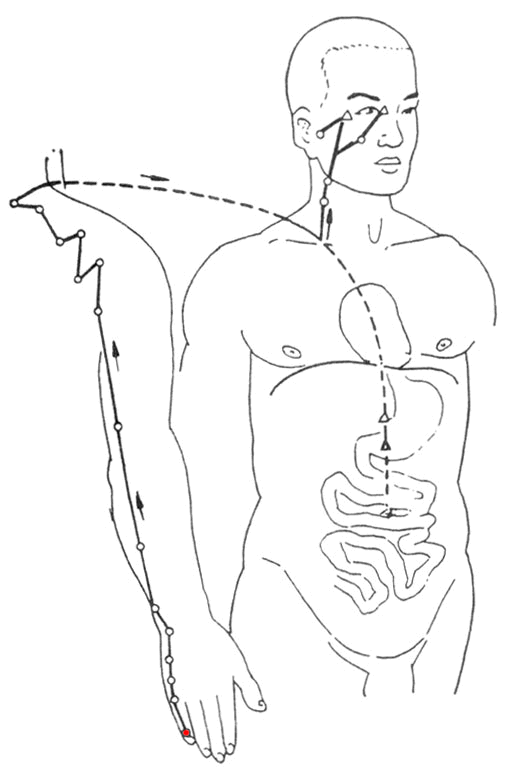 4.gif
