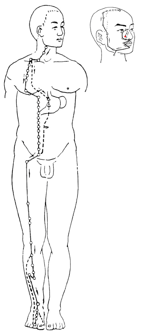 5.gif